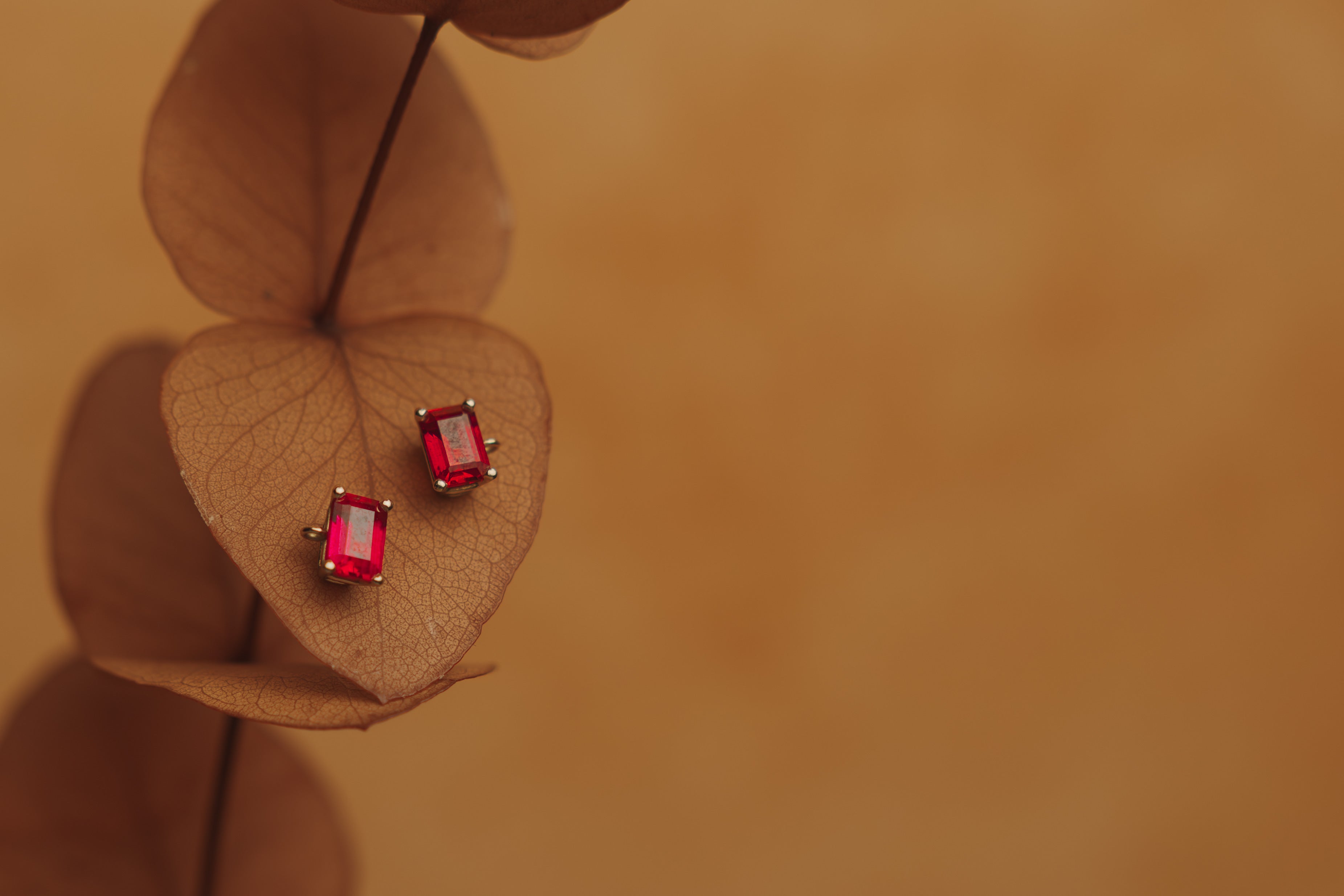 Aretes Sofía
