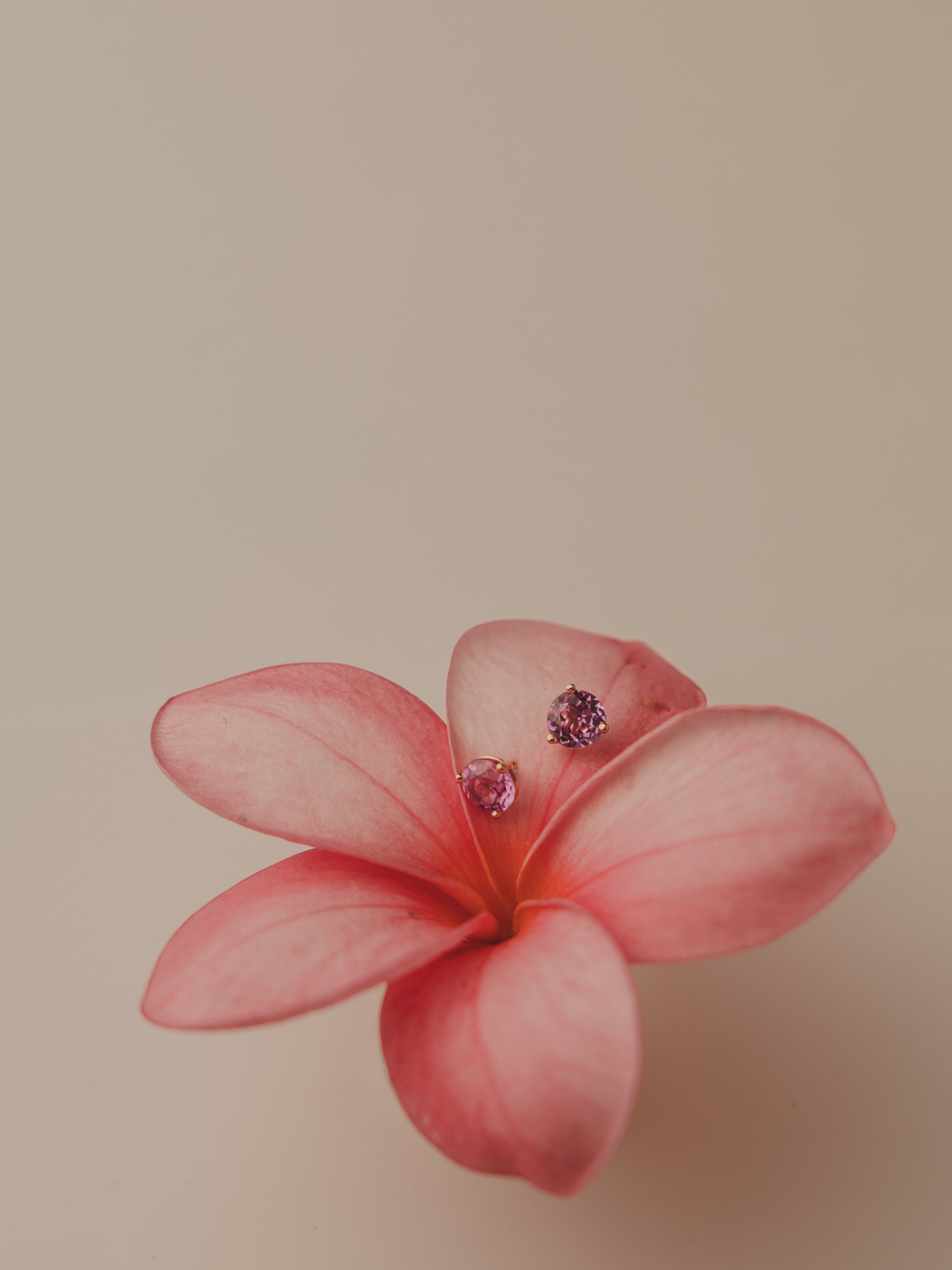 Aretes Valentina