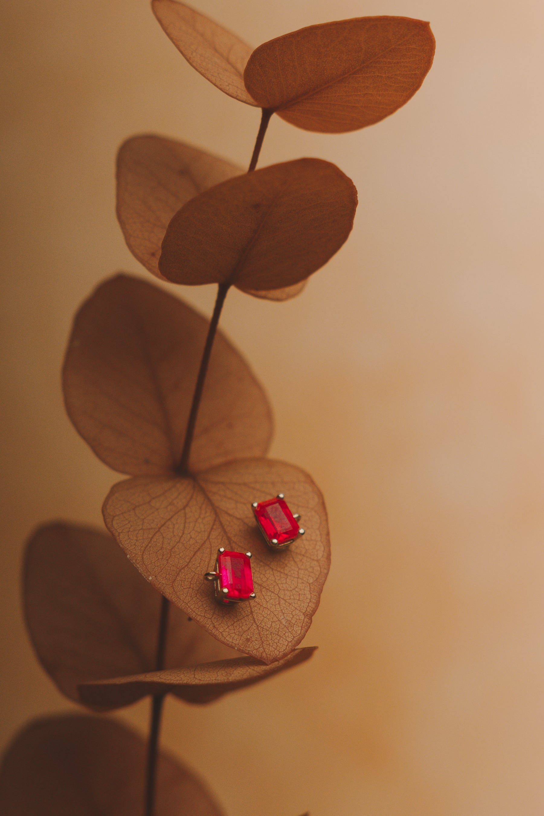 Aretes Sofía