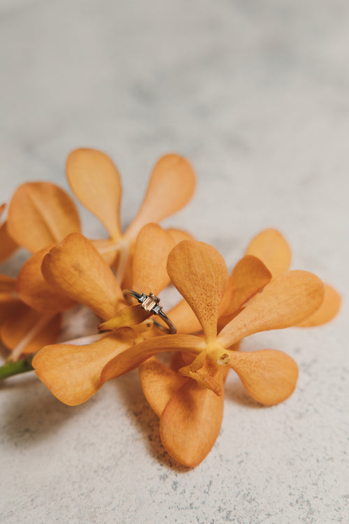 Anillo Fuego