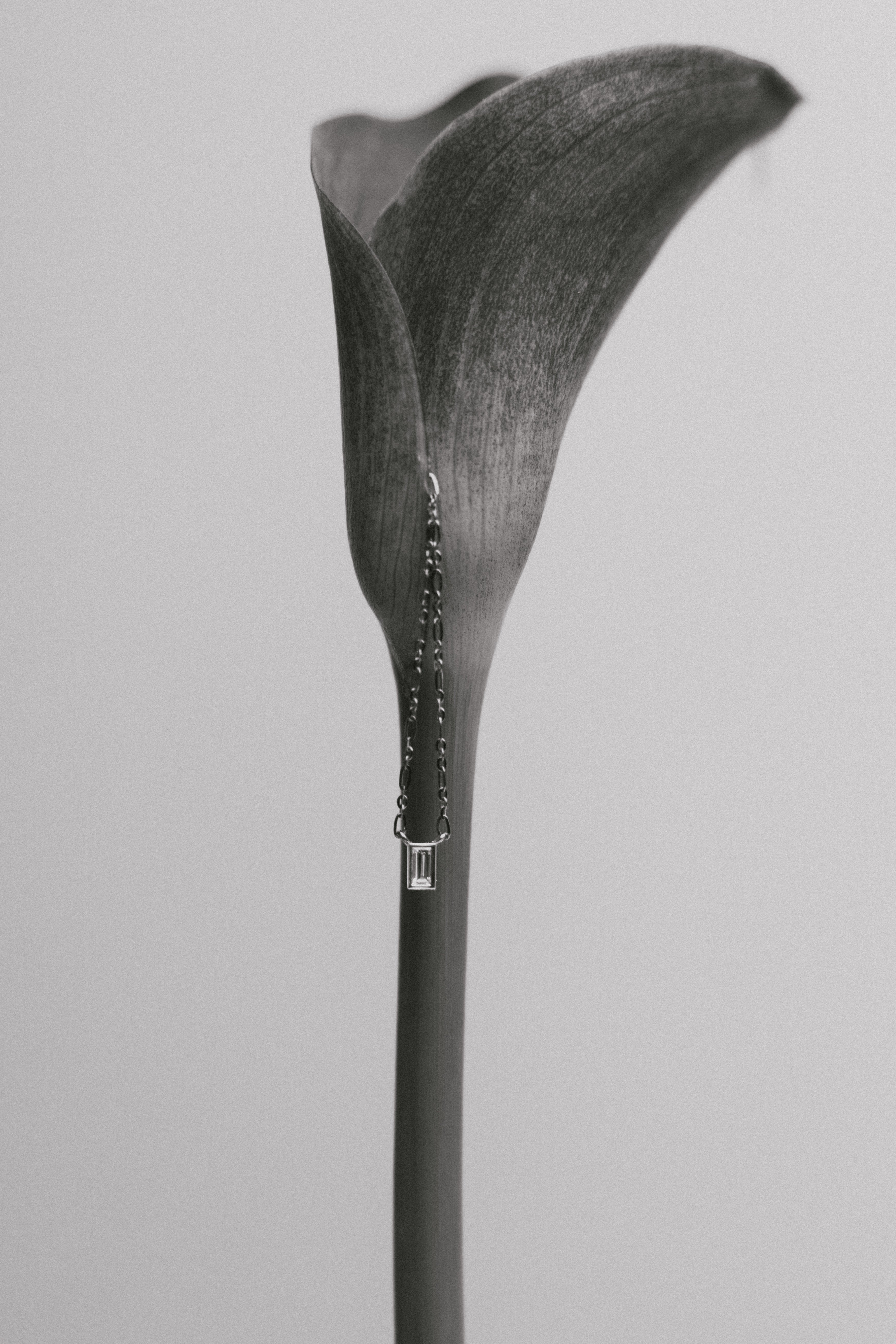 Cadena con dije Isabel