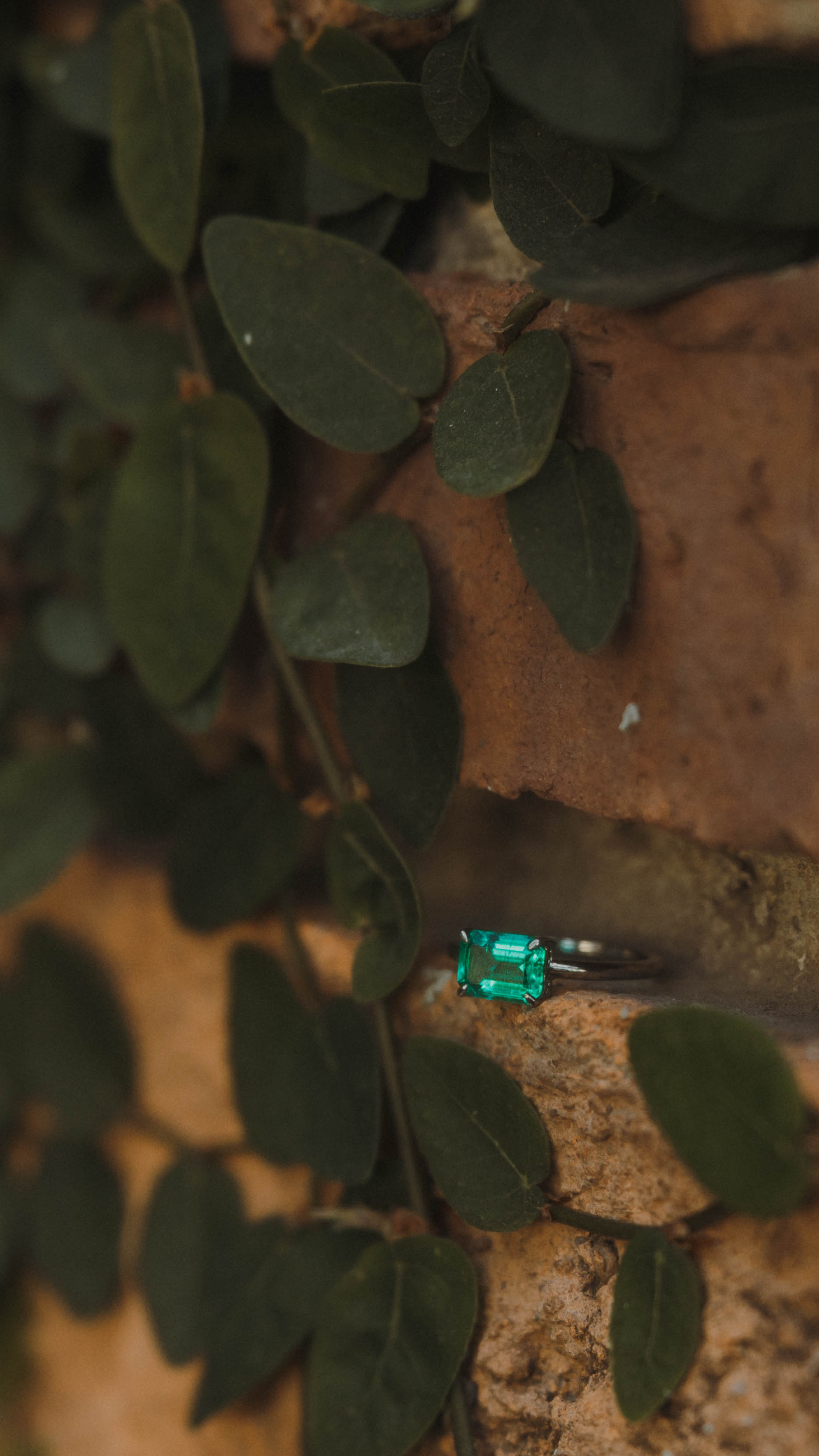 Anillo Alexa
